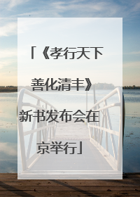 《孝行天下 善化清丰》新书发布会在京举行