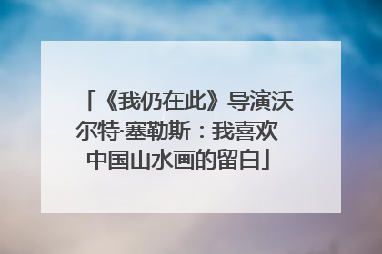 《我仍在此》导演沃尔特·塞勒斯：我喜欢中国山水画的留白