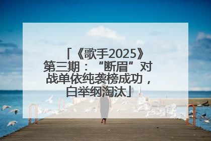 《歌手2025》第三期：“断眉”对战单依纯袭榜成功，白举纲淘汰