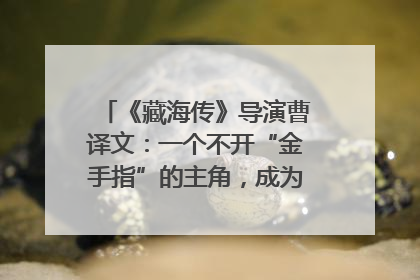 《藏海传》导演曹译文：一个不开“金手指”的主角，成为苍生守护者