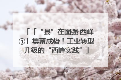 「“县”在图强·西峰①」集聚成势！工业转型升级的“西峰实践”