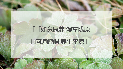 「如意康养 漫享陇原」问道崆峒 养生平凉