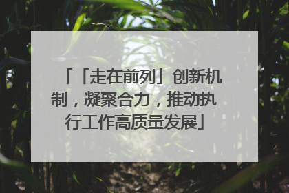 「走在前列」创新机制，凝聚合力，推动执行工作高质量发展