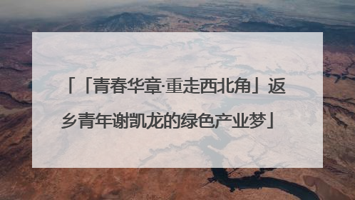 「青春华章·重走西北角」返乡青年谢凯龙的绿色产业梦