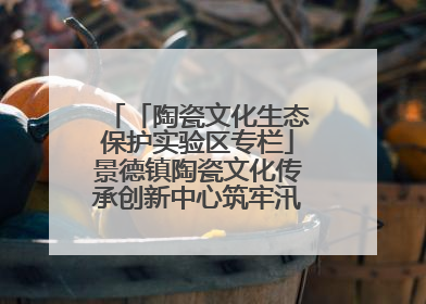「陶瓷文化生态保护实验区专栏」景德镇陶瓷文化传承创新中心筑牢汛期安全线