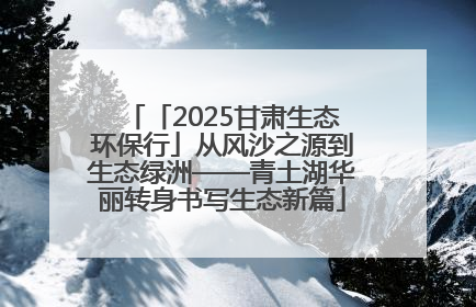 「2025甘肃生态环保行」从风沙之源到生态绿洲——青土湖华丽转身书写生态新篇