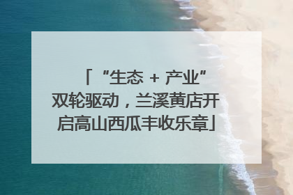 “生态 + 产业”双轮驱动，兰溪黄店开启高山西瓜丰收乐章