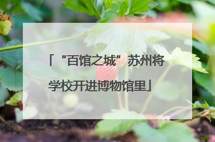 “百馆之城”苏州将学校开进博物馆里
