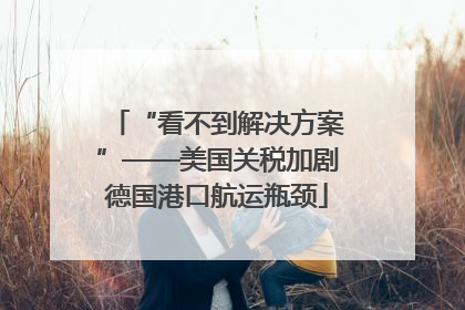 “看不到解决方案”——美国关税加剧德国港口航运瓶颈