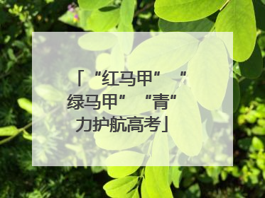 “红马甲”“绿马甲”“青”力护航高考