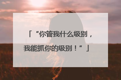 “你管我什么级别，我能抓你的级别！”