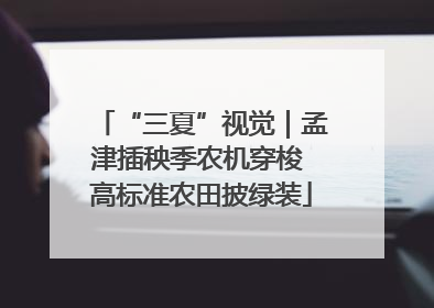 “三夏”视觉｜孟津插秧季农机穿梭 高标准农田披绿装