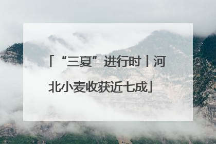 “三夏”进行时丨河北小麦收获近七成