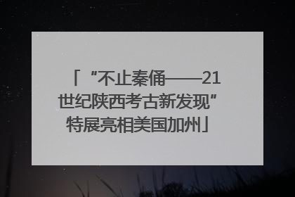 “不止秦俑——21世纪陕西考古新发现”特展亮相美国加州