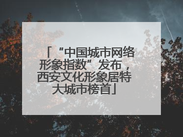 “中国城市网络形象指数”发布，西安文化形象居特大城市榜首