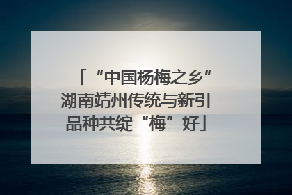 “中国杨梅之乡”湖南靖州传统与新引品种共绽“梅”好