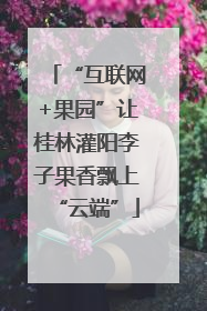 “互联网+果园”让桂林灌阳李子果香飘上“云端”