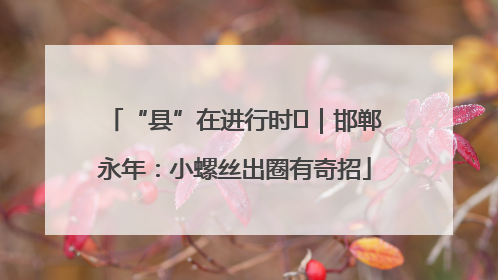“县”在进行时⑬｜邯郸永年：小螺丝出圈有奇招