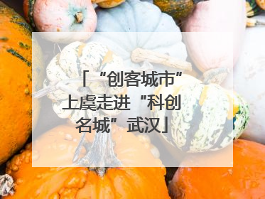 “创客城市”上虞走进“科创名城”武汉