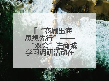 “商城出海 思想先行”——“双会”进商城学习调研活动在临沂顺利开展