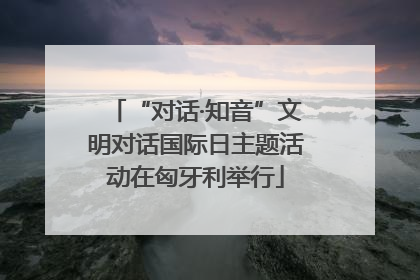 “对话·知音”文明对话国际日主题活动在匈牙利举行