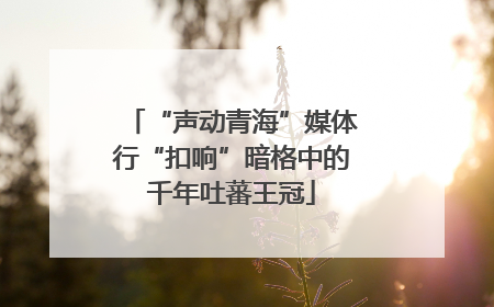 “声动青海”媒体行“扣响”暗格中的千年吐蕃王冠