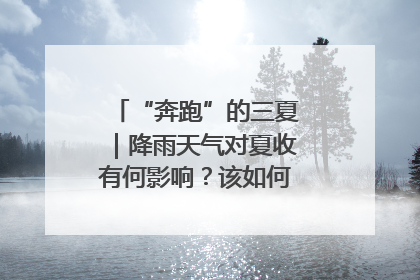 “奔跑”的三夏｜降雨天气对夏收有何影响？该如何防范？一文了解