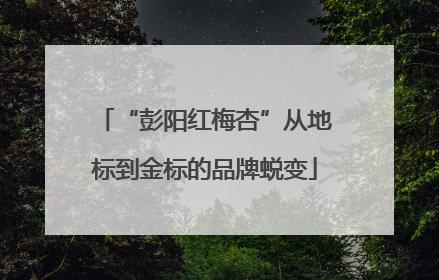“彭阳红梅杏”从地标到金标的品牌蜕变