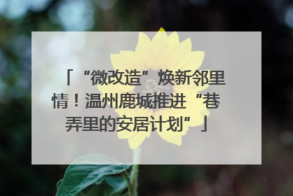 “微改造”焕新邻里情！温州鹿城推进“巷弄里的安居计划”