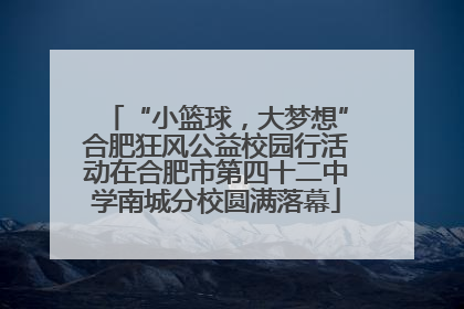 “小篮球，大梦想”合肥狂风公益校园行活动在合肥市第四十二中学南城分校圆满落幕