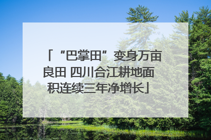 “巴掌田”变身万亩良田 四川合江耕地面积连续三年净增长