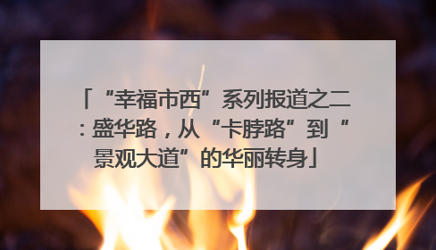 “幸福市西”系列报道之二：盛华路，从“卡脖路”到“景观大道”的华丽转身