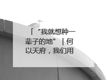 “我就想种一辈子的地”｜何以天府，我们用粮食作答②