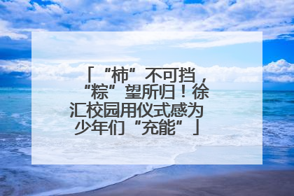 “柿”不可挡，“粽”望所归！徐汇校园用仪式感为少年们“充能”