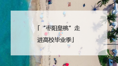 “枣阳皇桃”走进高校毕业季