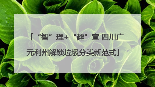 “智”理+“趣”宣 四川广元利州解锁垃圾分类新范式