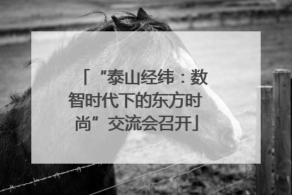 “泰山经纬：数智时代下的东方时尚”交流会召开