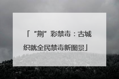 “荆”彩禁毒：古城织就全民禁毒新图景