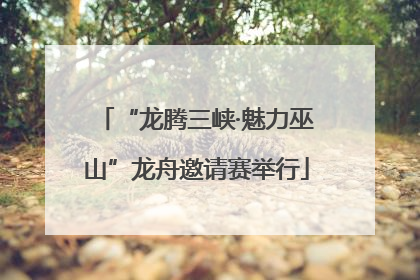 “龙腾三峡·魅力巫山”龙舟邀请赛举行
