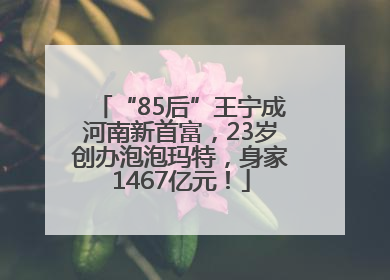 “85后”王宁成河南新首富，23岁创办泡泡玛特，身家1467亿元！