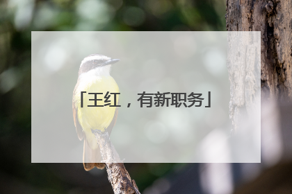 王红，有新职务