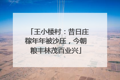 王小楼村：昔日庄稼年年被沙压，今朝粮丰林茂百业兴