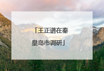 王正谱在秦皇岛市调研
