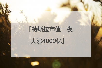 特斯拉市值一夜大涨4000亿