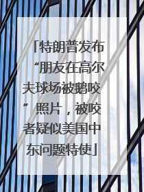 特朗普发布“朋友在高尔夫球场被鹅咬”照片，被咬者疑似美国中东问题特使