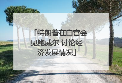特朗普在白宫会见鲍威尔 讨论经济发展情况