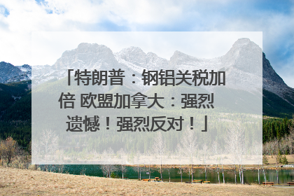 特朗普：钢铝关税加倍 欧盟加拿大：强烈遗憾！强烈反对！