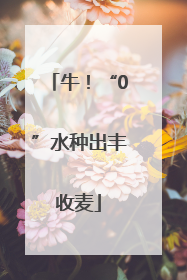 牛！“0”水种出丰收麦