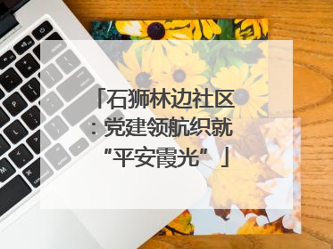 石狮林边社区：党建领航织就“平安霞光”