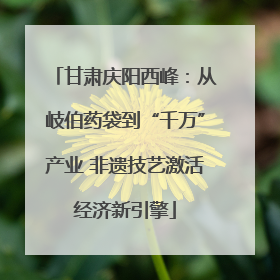 甘肃庆阳西峰：从岐伯药袋到“千万”产业 非遗技艺激活经济新引擎